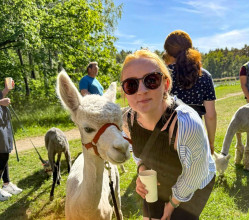 Teamausflug mit tierischer Unterstützung