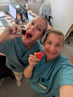 fachkliniken-radeburgfrische-melonen1